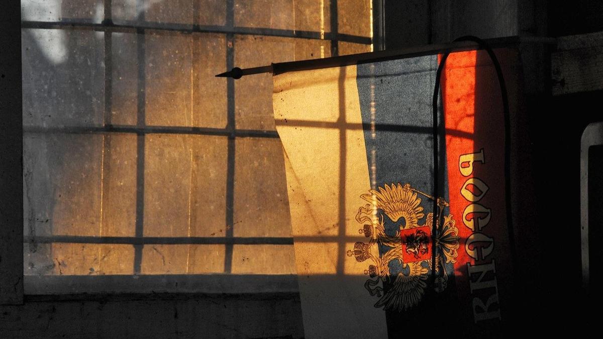 Растут вместе с реестром