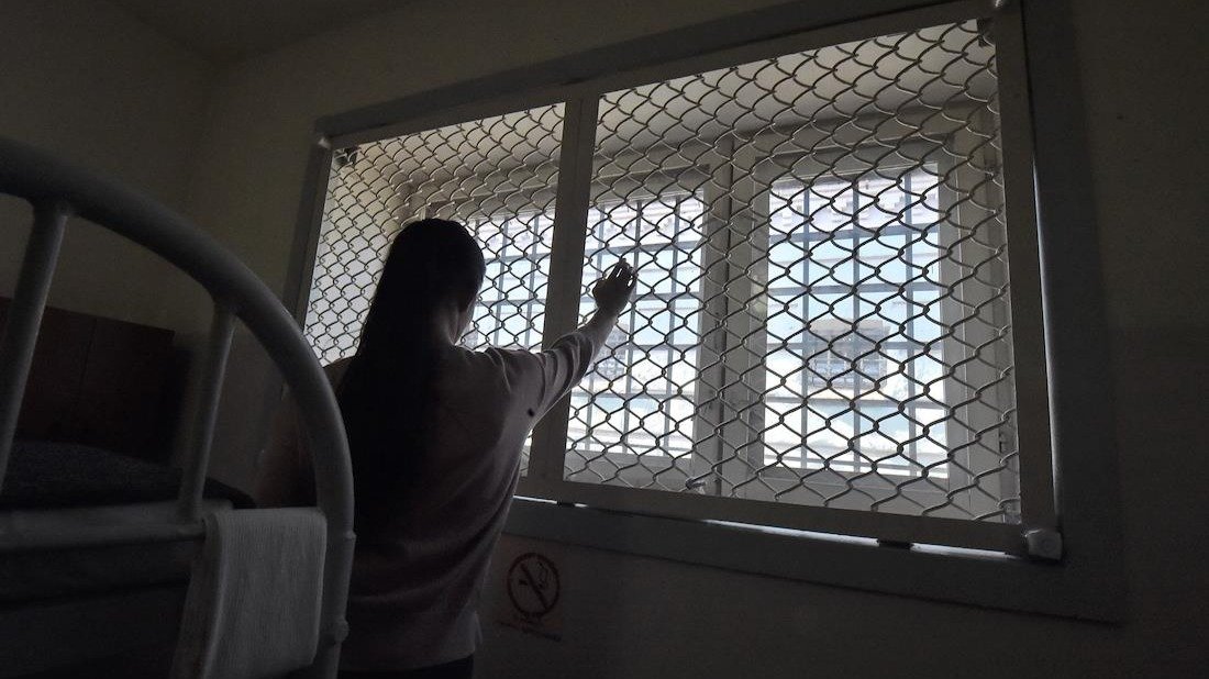 «У меня на попечении было 16 животных. Их усыпили»